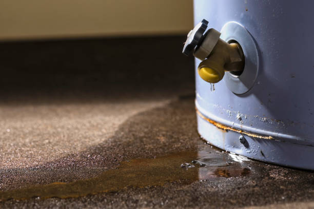Best Ceiling water damage repair  in Lookout Mountain, TN
