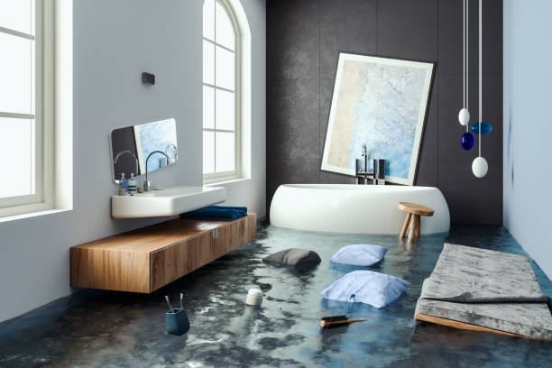 Best Professional water damage repair  in Lookout Mountain, TN