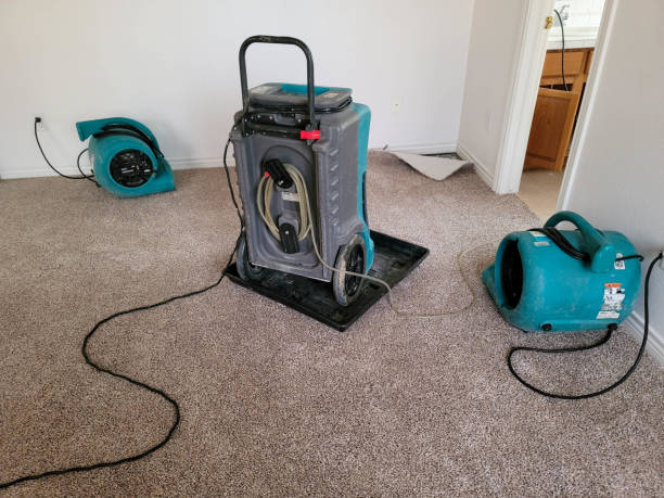 Best Water damage restoration process  in Lookout Mountain, TN