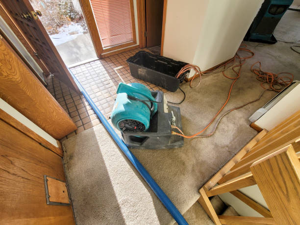 Lookout Mountain, TN Water damage restoration Company