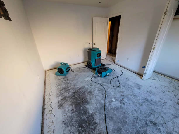 Best Water damage restoration near me  in Lookout Mountain, TN