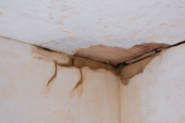 Best 24/7 water damage repair  in Lookout Mountain, TN