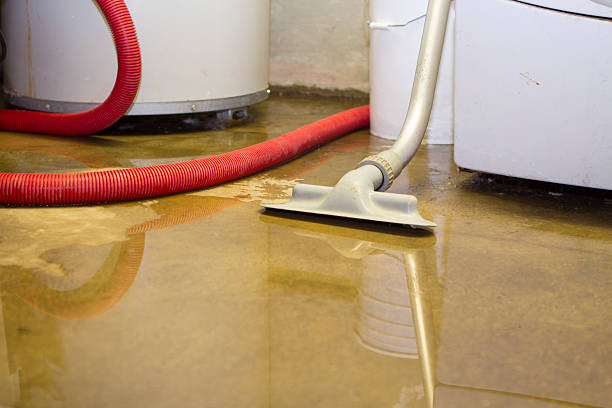 Best Flood damage cleanup  in Lookout Mountain, TN
